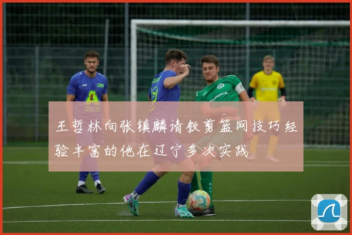 王哲林向张镇麟请教剪篮网技巧经验丰富的他在辽宁多次实践