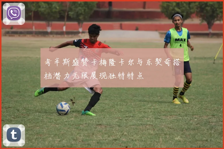 考辛斯盛赞卡梅隆卡尔与东契奇搭档潜力无限展现独特特点